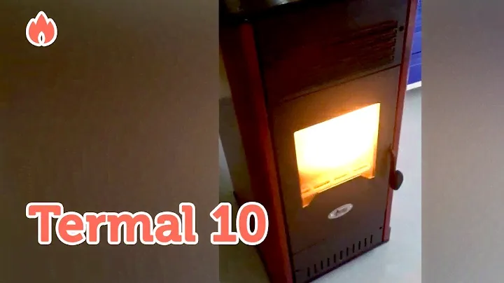Возможности пеллетного камина Termal 10...